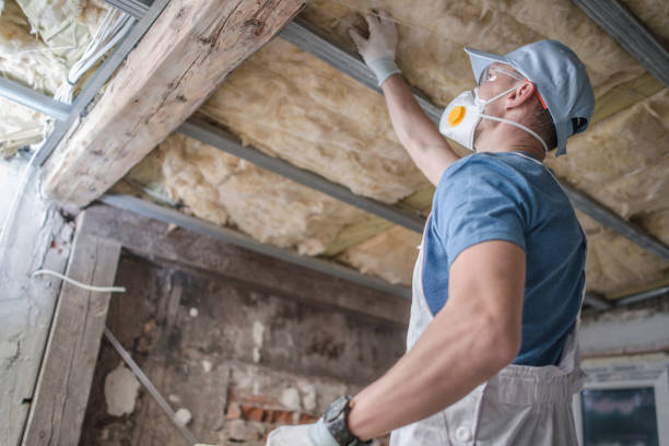 Best Insulation Replacement Services  in Middletown, NY